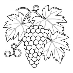 Crape illustration vector style coloring page