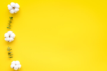 Flowers border with green eucalyptus branches and dry cotton flowers on yellow background top view copy space