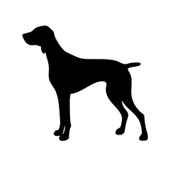 Elegant Black Silhouette of a German Shorthaired Pointer Dog