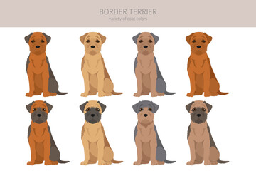 Border terrier clipart. Different coat colors and poses set. Vector illustration