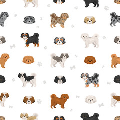 Shih-Poo clipart. Shih-Tzu  Poodle mix. Different coat colors set.  Vector illustration