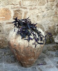 ancient greek vase