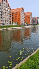Modern residential buildings with orange roofs reflecting in a calm canal, surrounded by green grass and floating lily pads
