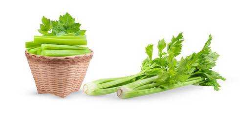 Celery i isolated on transparent png (Image from camera)