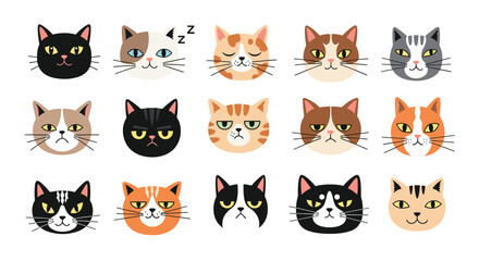 Fototapeta premium Collection of adorable feline faces expressing a variety of emotions and personalities