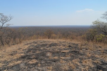 Expansive View of Burned Landscape with Sparse Vegetation and Sky