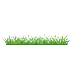 green grass on white background