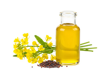 Fresh yellow canola flowers and seed pods accompanying a bottle of canola oil Isolated on transparent background