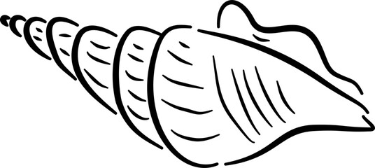 Seashell sketch for nature labels marine branding cosmetics packaging stationery wellness decor