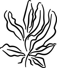 Seaweed illustration for natural packaging botanical label eco branding ocean products