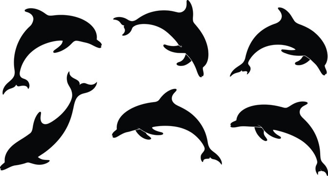 A collection of six black dolphin silhouette vector illustrations, isolated on a white background and shown in various poses.