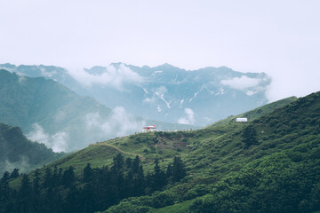 Stunning view from Chandrashila trek with green slopes, pine trees, and snow-dusted Himalayan peaks under a cloudy sky. A peaceful and scenic high-altitude trail in Uttarakhand.