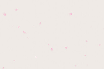 白背景にピンク色の花びら