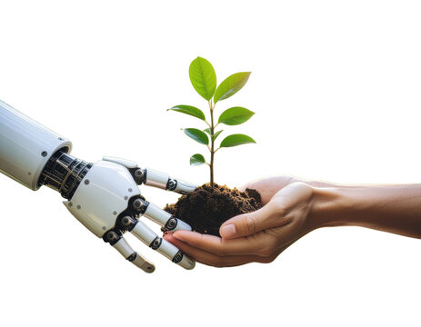 AI robot and human hand exchanging green tree sapling symbolizing harmony between technology and nature isolated on white background