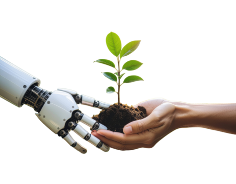 AI robot and human hand exchanging green tree sapling symbolizing harmony between technology and nature isolated on white background