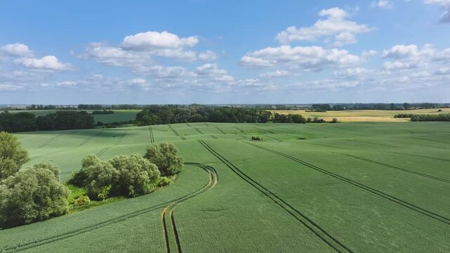 Aerial view of green fields and trees, Germany.