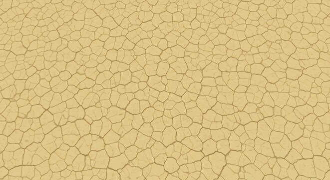 Dry cracked desert ground with intricate polygonal patterns of earth