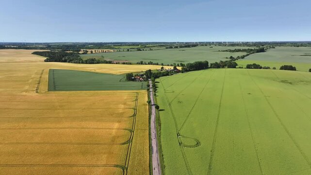 Aerial view of road through fields, Germany.