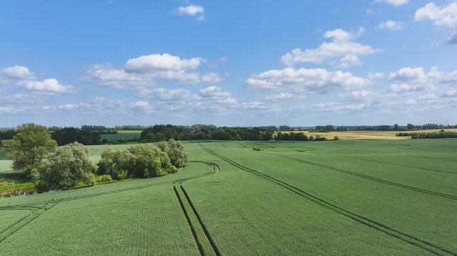 Aerial view of green fields and trees, Germany.