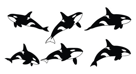 Adorable Black and White Killer Whale (Orca) Vector Set - Marine Animal, Ocean Life, Cartoon, Aquatic Mammal, Wildlife, Sea Creature Design