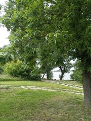 footpath in the park