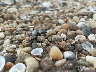 stones on the beach