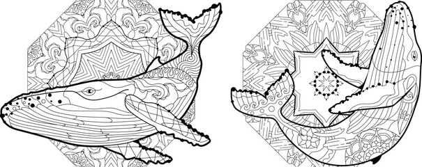 Swimming whales for anti stress Coloring Page.