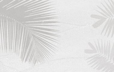 Palm leaves shadow on sand texture background, tropical concept background