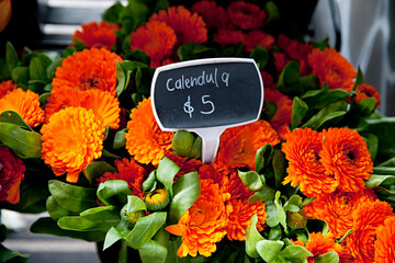 bright orange calendula flowers for sale