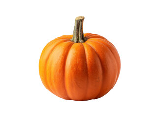 Obraz premium Single small orange pumpkin isolated on black background, Isolated On Transparent Background, Png Cut Out