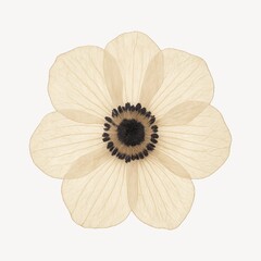 Fototapeta premium Delicate beige flower illustration