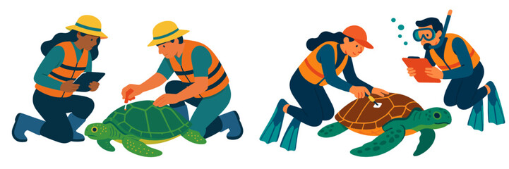 Volunteers engage in sea turtle conservation efforts at a coastal location during the day