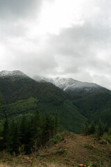 This image captures a moody, rainy day in the mountains, with snow-dusted peaks shrouded in clouds and dark evergreen forests stretching across the landscape. The scene evokes a sense of solitude.
