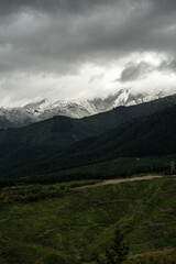 This grand landscape shot captures snow-capped mountains shrouded in clouds, towering over dark evergreen forests and verdant green hills. It evokes a sense of awe and the dramatic beauty of nature