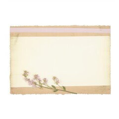 Fototapeta premium Lilac flower plant paper.