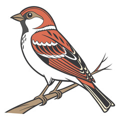 Small Bird Isolated on White Background Vector Illustration