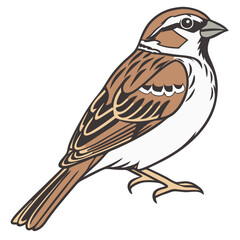Sparrow Bird Isolated on White Background Vector Illustration