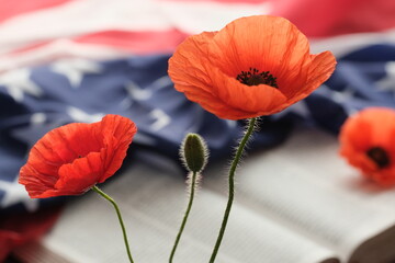 American flag decorated bright poppy flowers on a open Bible on a grey background. Remembrance day, Veterans day or Memorial day tribute on a grey background.
