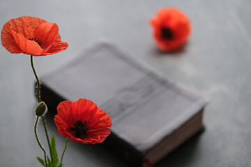 Bright orange poppies placed near a closed book on a dark surface. The concept Memorial day and...