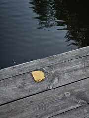 Yellow leaf resting on wooden dock by the water in autumn