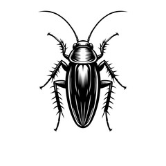 Vector illustration of a black silhouette cockroach