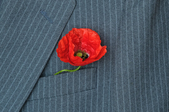 A bright red poppy flower is elegantly pinned to the pocket of a grey suit jacket, adding a striking touch. The setting suggests a formal gathering or celebration.