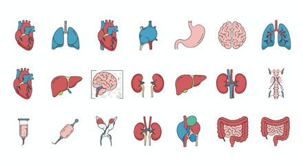 Human Anatomy Medical Icons - Flat Vector Set