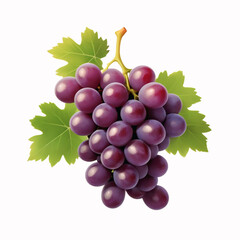 Fototapeta premium bunch of grapes