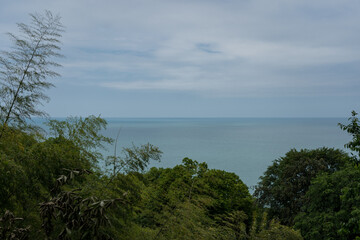 View of the Black Sea in the Botanical Garden in Georgia