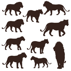 Silhouettes of Lion and Lioness Walking and Standing in Various Poses Vector Illustration for Wildlife and Nature Designs