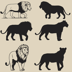 Silhouettes of Lion and Lioness Walking and Standing in Various Poses Vector Illustration for Wildlife and Nature Designs
