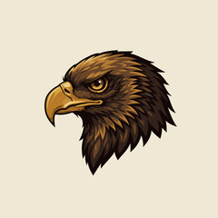 american bald eagle