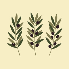 Three olive branches with green and brown leaves and olives in minimal flat design style vector illustration