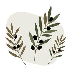 Three olive branches with green and brown leaves and olives in minimal flat design style vector illustration